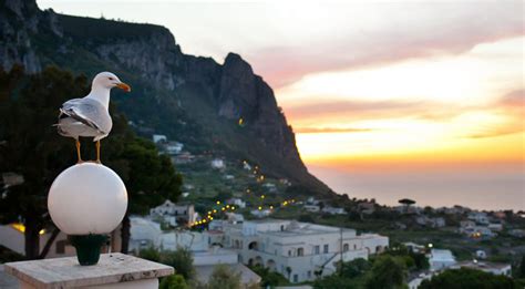 capri vita notturna|Le mille e una notte di Capri: viaggio nella vita。